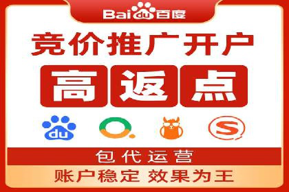 百度竞价代理技巧：经典成功案例解析